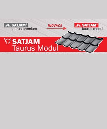 Titulka k Satjam Taurus Modul leták